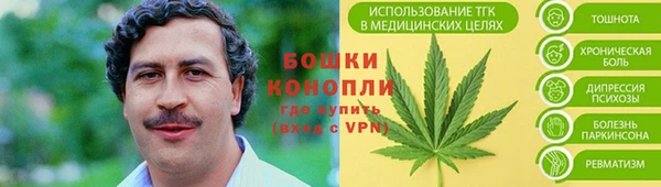 ГАЛЛЮЦИНОГЕННЫЕ ГРИБЫ Горняк